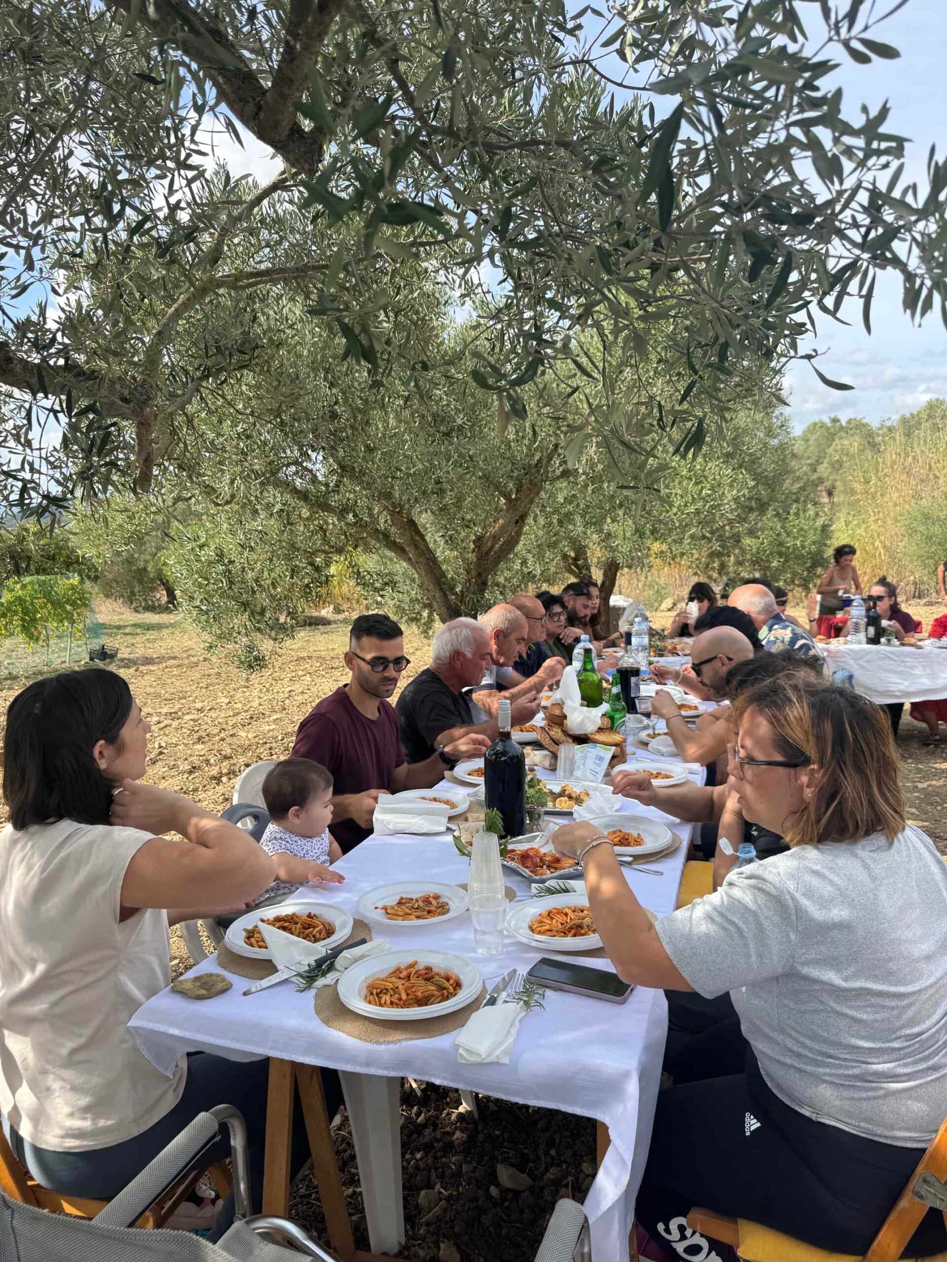 festa in campagna sardegna sardo Experience sardinie reizen