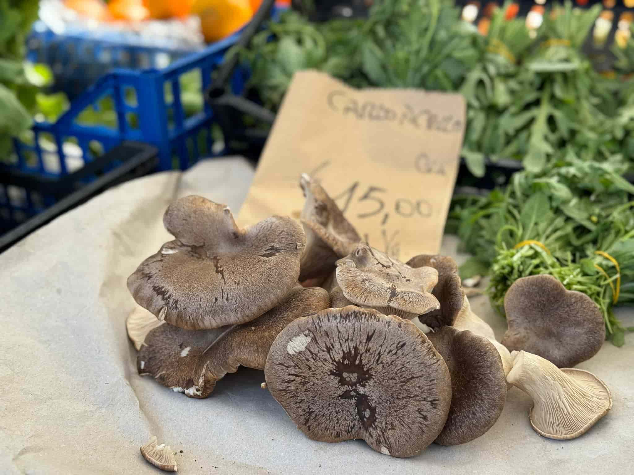funghi porcini sardijnse markt alghero met sardo experience sardinie reizen sardinie excursies