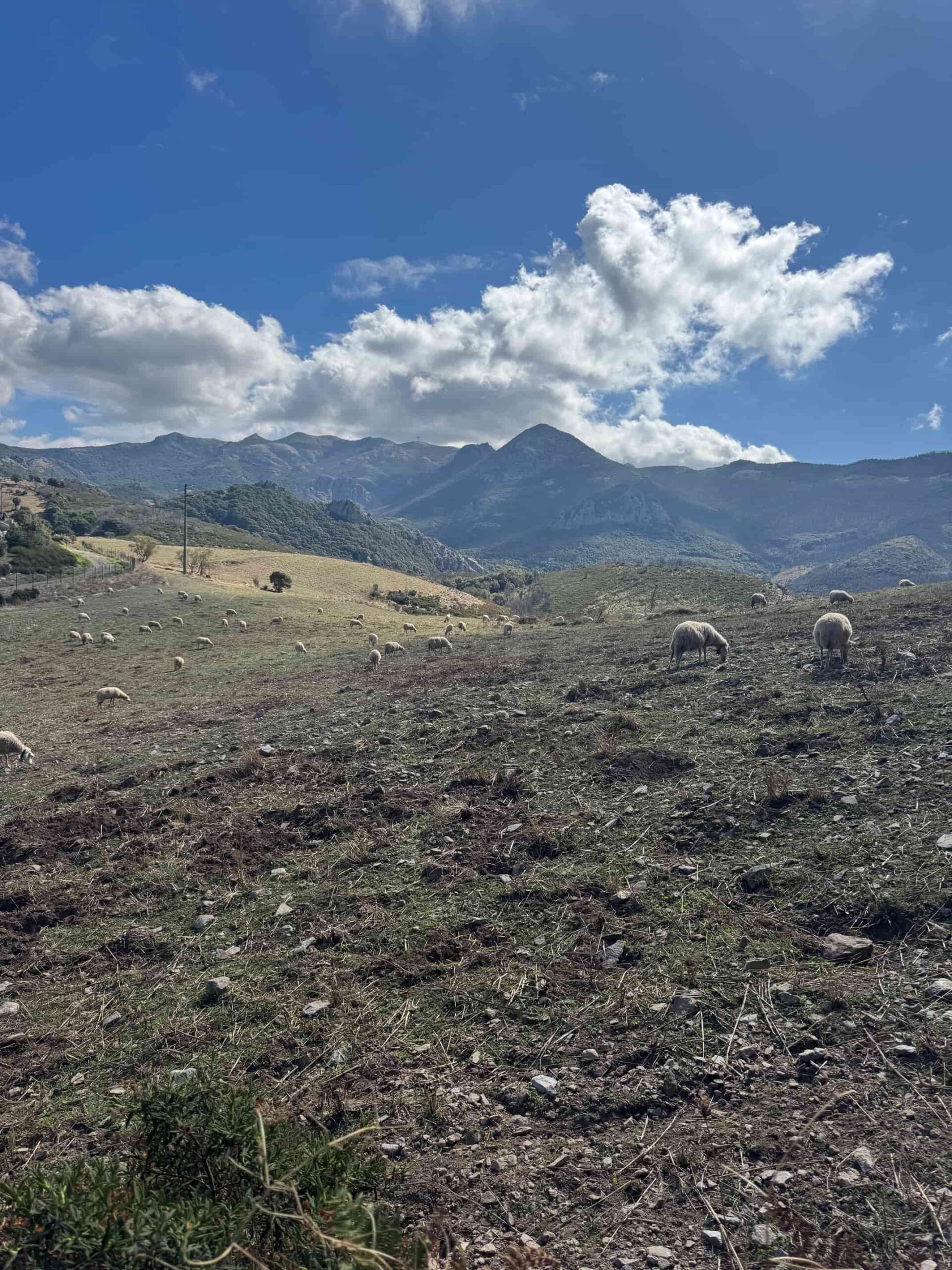 sardinie wandel reizen op maat Sardo Experience