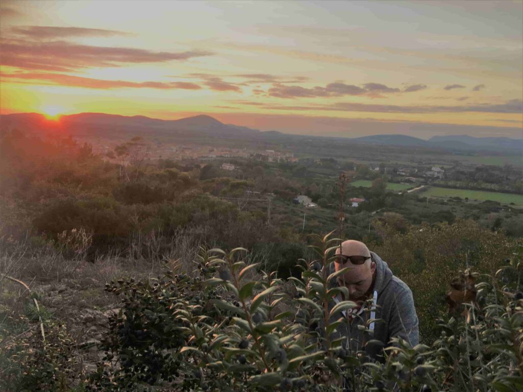Sardijnse likeur mirto di Sardegna van mirtebessen van thuiskok SardoExperience Italiaanse kok aan huis kookworkshop