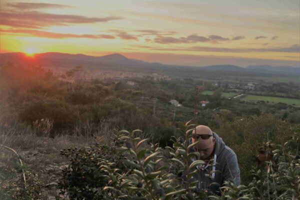 Sardijnse likeur mirto di Sardegna van mirtebessen van thuiskok SardoExperience Italiaanse kok aan huis kookworkshop