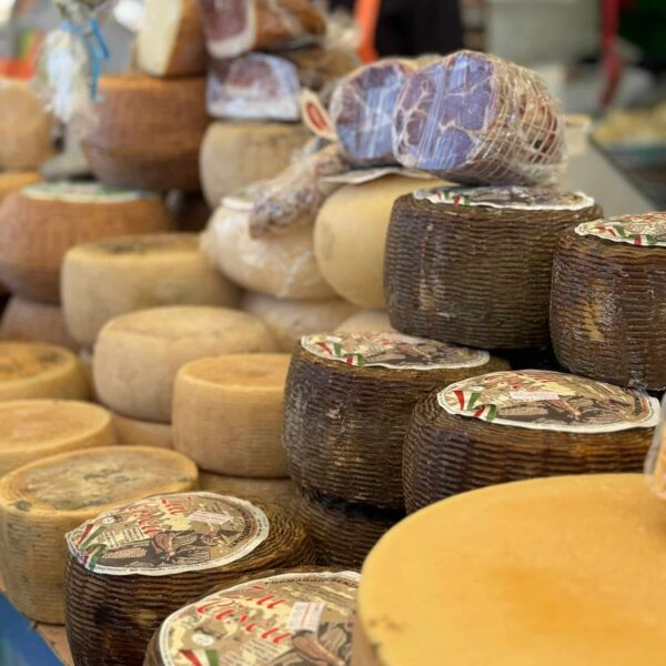 alghero markt sardinie reizen sardinie excursies sardo experience peccorino