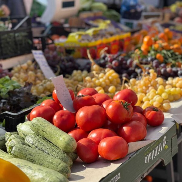 alghero markt sardinie reizen sardinie excursies sardo experience vers