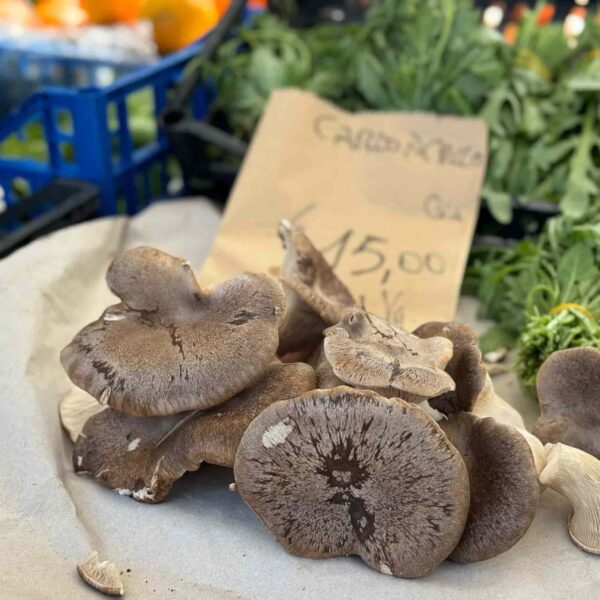 funghi porcini sardijnse markt alghero met sardo experience sardinie reizen sardinie excursies